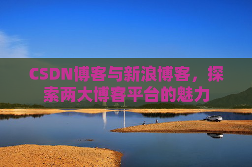 CSDN博客与新浪博客，探索两大博客平台的魅力